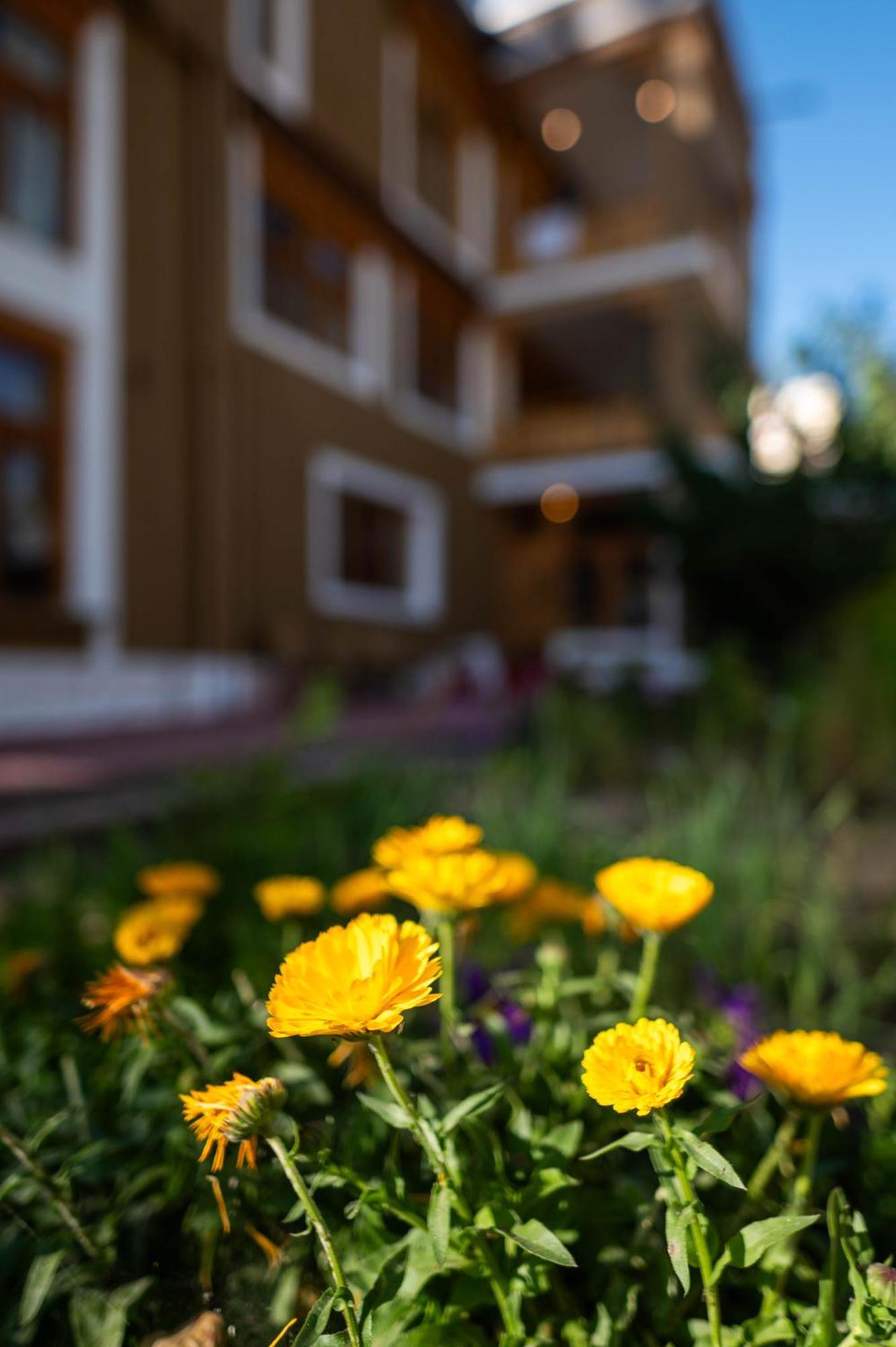 Sangto Green Guest House Leh Exterior photo